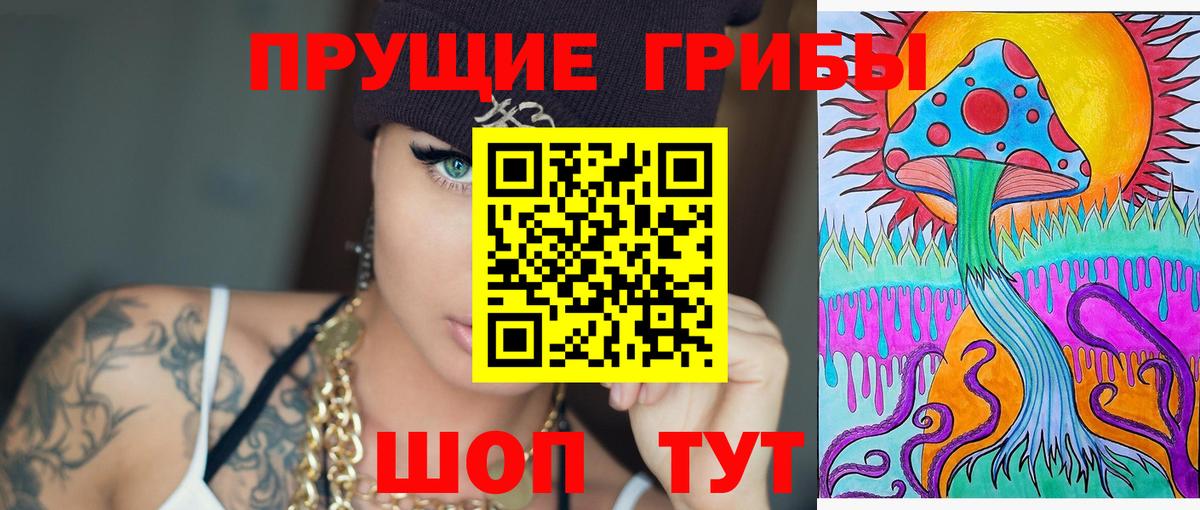 Азнакаево  Галлюциногенные грибы Psilocybe  Вход с VPN 